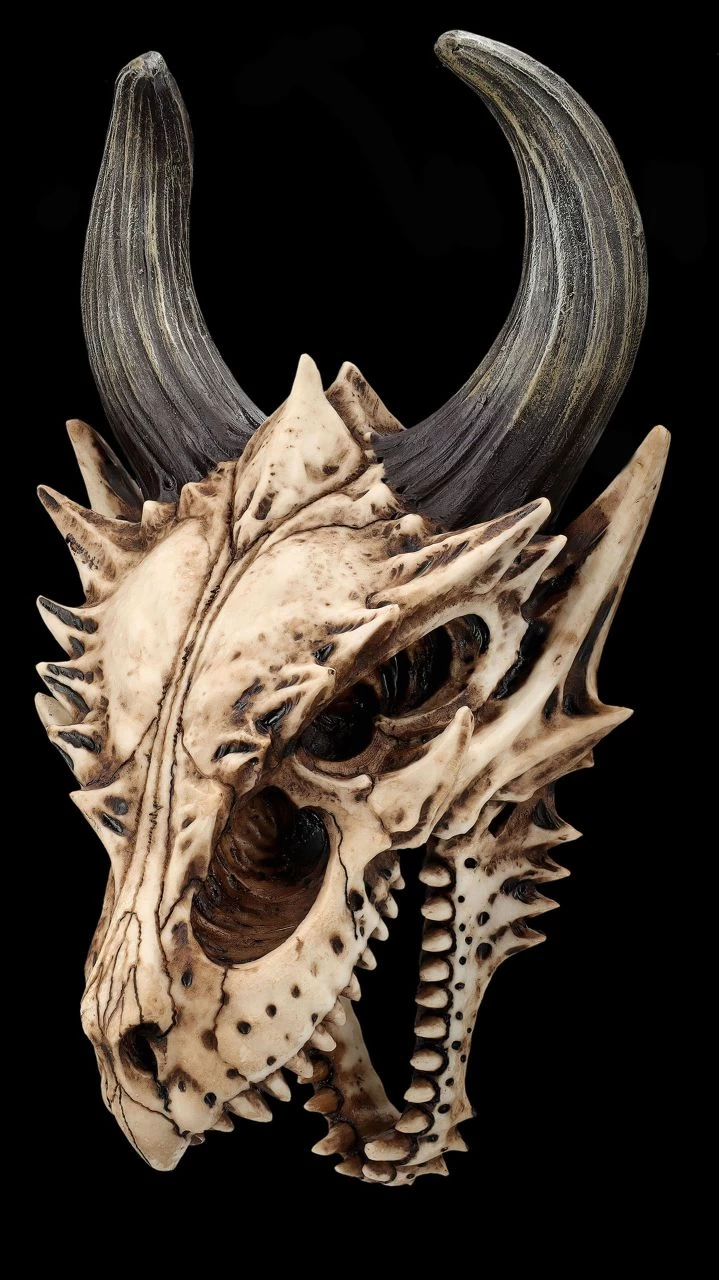 Totenkopf Wanddeko - Fieser Drachen Schädel 5 Totenkopf Wanddeko - Fieser Drachen Schädel – Bild 5