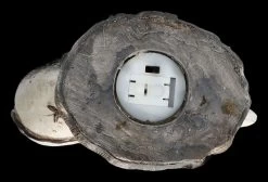 Totenkopf Mond Mit Eule LED -Modell Und Figurengeschäft 2D FS26331 Totenkopf Mond mit Eule LED 10x8LKtyTWT0LwY 1280x1280