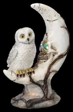 Totenkopf Mond Mit Eule LED -Modell Und Figurengeschäft 2D FS26331 Totenkopf Mond mit Eule LED 3 1280x1280