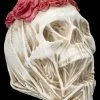 Totenkopf Mit Schleier Und Rosen - The Veil