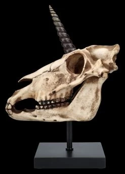 Einhorn Totenkopf Auf Ständer