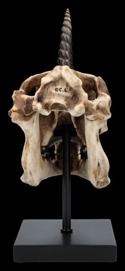 Einhorn Totenkopf Auf Ständer -Modell Und Figurengeschäft 2D FS26768 Einhorn Totenkopf auf Stander 4 1280x1280