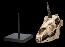 Einhorn Totenkopf Auf Ständer -Modell Und Figurengeschäft 2D FS26768 Einhorn Totenkopf auf Stander 7OLVPnrwHO1WI3 1280x1280