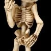 Skelett Figur Zeigt Mittelfinger