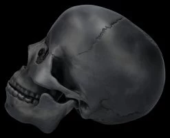 Totenkopf Schwarz - Beweglicher Unterkiefer -Modell Und Figurengeschäft 2D FS26931 Totenkopf schwarz Beweglicher Unterkiefer 2 1280x1280