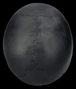 Totenkopf Schwarz - Beweglicher Unterkiefer -Modell Und Figurengeschäft 2D FS26931 Totenkopf schwarz Beweglicher Unterkiefer 3 1280x1280