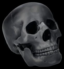 Totenkopf Schwarz - Beweglicher Unterkiefer