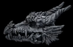 Riesen Drachenschädel Schwarz -Modell Und Figurengeschäft 2D FS27021 Riesen Drachenschadel schwarz 3 1280x1280
