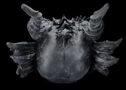 Riesen Drachenschädel Schwarz -Modell Und Figurengeschäft 2D FS27021 Riesen Drachenschadel schwarz 4 1280x1280