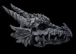 Riesen Drachenschädel Schwarz