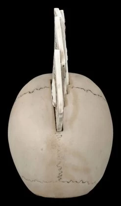 Totenkopf Figur - Pokerkarten - Four Of A Kind -Modell Und Figurengeschäft 2D FS27047 Totenkopf Figur Pokerkarten Four of a Kind 3 1280x1280