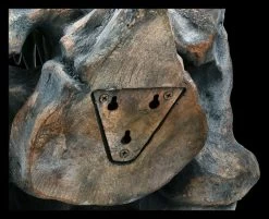 Totenkopf - Tyrannosaurus Rex - Groß -Modell Und Figurengeschäft 2D ML11827 Totenkopf Tyrannosaurus Rex gross 3 1280x1280