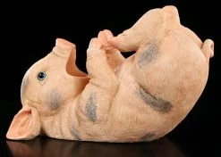 Schwein Als Flaschenhalter -Modell Und Figurengeschäft 4617 4 bottle holder 4 1280x1280