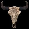 Totenkopf Bison Mit Tribals