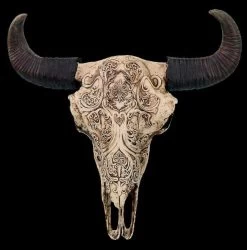 Totenkopf Bison Mit Tribals