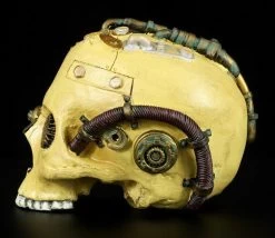 Steampunk Totenkopf - Bemalt -Modell Und Figurengeschäft 7246 3 steampunk skull 3 1280x1280