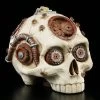 Steampunk Totenkopf Ohne Unterkiefer