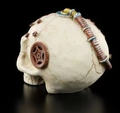 Steampunk Totenkopf Ohne Unterkiefer -Modell Und Figurengeschäft 7842 2 skull 2 1280x1280