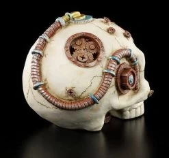 Steampunk Totenkopf Ohne Unterkiefer -Modell Und Figurengeschäft 7842 3 skull 3 1280x1280