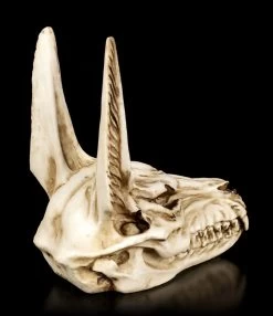 Totenkopf - Anubis Gott Der Totenriten -Modell Und Figurengeschäft Aegyptischer Totenkopf Anubis 4 1280x1280