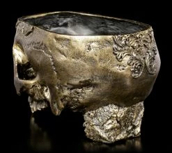 Totenkopf Blumentopf - Verziert -Modell Und Figurengeschäft Blumentopf Menschlicher Totenkopf 3 1280x1280