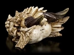 Drachenschädel - Drachenskelett 10 Drachenschädel - Drachenskelett -Modell Und Figurengeschäft Drachenschaedel Drachenskelett 3 1280x1280