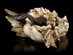 Drachenschädel - Drachenskelett 11 Drachenschädel - Drachenskelett -Modell Und Figurengeschäft Drachenschaedel Drachenskelett 4 1280x1280