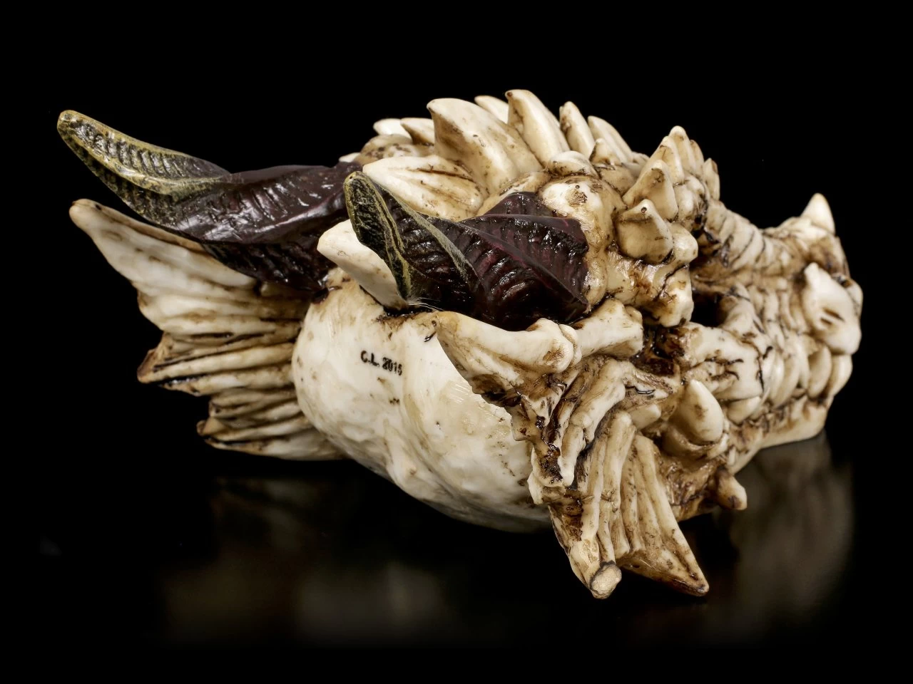 Drachenschädel - Drachenskelett 5 Drachenschädel - Drachenskelett – Bild 5