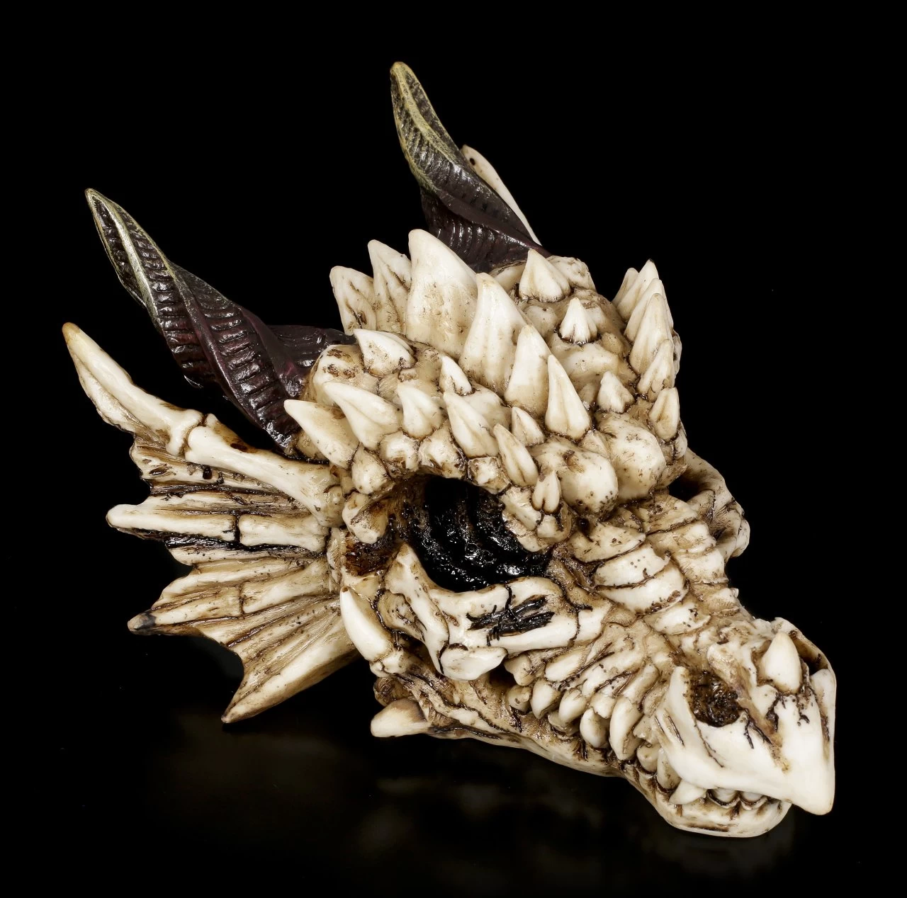 Drachenschädel - Drachenskelett 6 Drachenschädel - Drachenskelett – Bild 6