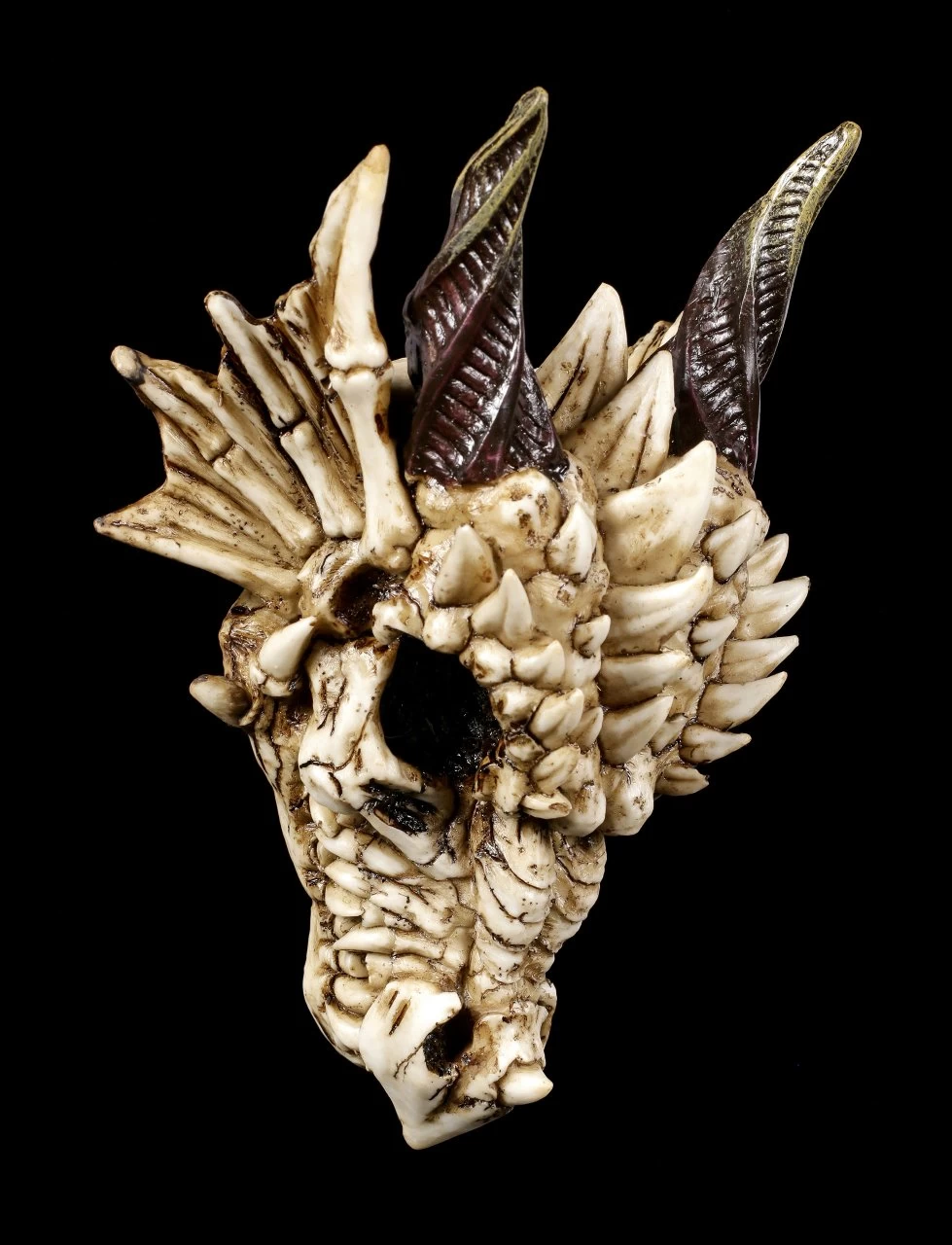 Drachenschädel - Drachenskelett 7 Drachenschädel - Drachenskelett – Bild 7