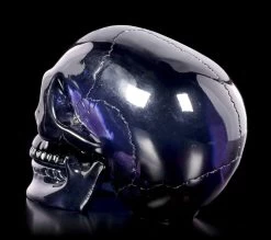 Dunkelblauer Totenkopf Mit Beweglichem Unterkiefer -Modell Und Figurengeschäft Dunkelblauer Totenkopf Mit Beweglichem Unterkiefer 3 1280x1280