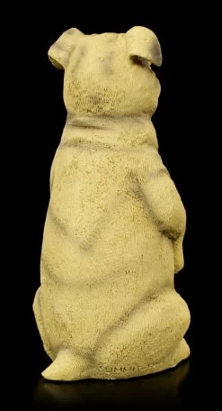 Dupers Figur - Katze Im Hundekostüm -Modell Und Figurengeschäft Duper Figur Katze Im Hundekostuem 4 1280x1280