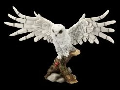 Eulen Figur - Snowy Rest -Modell Und Figurengeschäft FS18307 Eulen Figur Snowy Rest 2 1280x1280