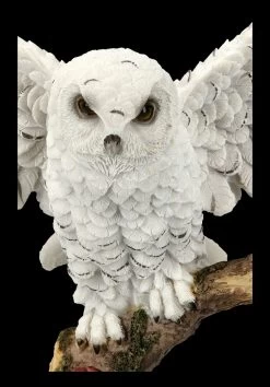 Eulen Figur - Snowy Rest -Modell Und Figurengeschäft FS18307 Eulen Figur Snowy Rest 9 1280x1280