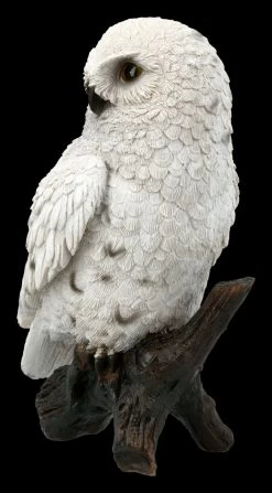 Weiße Schneeeulen Figur Auf Ast 7 Weiße Schneeeulen Figur Auf Ast -Modell Und Figurengeschäft FS20700 Weisse Schneeeule auf Ast 3 1280x1280
