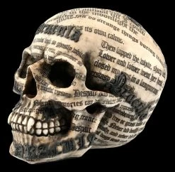 NEMESIS NOW Totenkopf Vampir - Draculas Tale -Modell Und Figurengeschäft FS20735 Totenkopf Draculas Tale 3 1280x1280