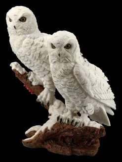 Eulen Figur - Schneeeulen Paar Auf Ast -Modell Und Figurengeschäft FS20794 Schneeeulenpaerchen auf Ast stehend 3 1280x1280