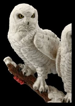 Eulen Figur - Schneeeulen Paar Auf Ast -Modell Und Figurengeschäft FS20794 Schneeeulenpaerchen auf Ast stehend 8 1280x1280
