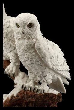 Eulen Figur - Schneeeulen Paar Auf Ast -Modell Und Figurengeschäft FS20794 Schneeeulenpaerchen auf Ast stehend 9 1280x1280