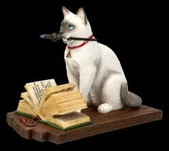 Katzen Figur - Hocus Pocus -Modell Und Figurengeschäft FS20886 Katzen Figur Hocus Pocus 3 1280x1280