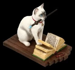 Katzen Figur - Hocus Pocus -Modell Und Figurengeschäft FS20886 Katzen Figur Hocus Pocus 8 1280x1280