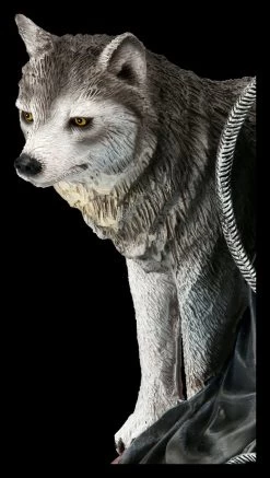 Hexen Figur - Bella Maestra By Nene Thomas -Modell Und Figurengeschäft FS21113 Hexen Figur Bella Maestra mit Wolf 12 1280x1280