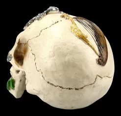 Totenkopf Ritter Der Tafelrunde - Sir Tristan -Modell Und Figurengeschäft FS21253 Totenkopf Sir Tristan 5 1280x1280