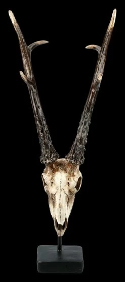 Rehbock Totenkopf Auf Metall Ständer -Modell Und Figurengeschäft FS21254 Antilopen Totenkopf auf Metall Staender 2 1280x1280