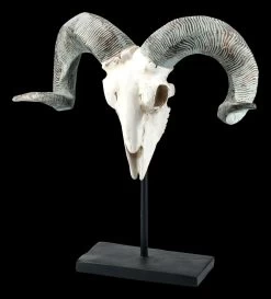 Widder Totenkopf Auf Metall Ständer -Modell Und Figurengeschäft FS21256 Widder Totenkopf auf Metall Staender 2 1280x1280