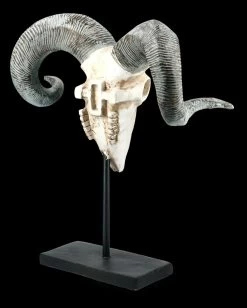 Widder Totenkopf Auf Metall Ständer -Modell Und Figurengeschäft FS21256 Widder Totenkopf auf Metall Staender 7 1280x1280