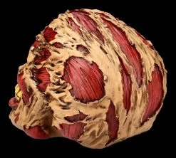 Zombie Totenkopf - The Hoard 8 Zombie Totenkopf - The Hoard -Modell Und Figurengeschäft FS21313 Zombie Totenkopf The Hoard 5jnqv1y9rMPGzZ 1280x1280