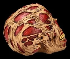 Zombie Totenkopf - The Hoard 9 Zombie Totenkopf - The Hoard -Modell Und Figurengeschäft FS21313 Zombie Totenkopf The Hoard 8NoITnw4Hdz7sI 1280x1280