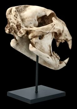 Löwen Totenkopf Auf Metall Ständer -Modell Und Figurengeschäft FS21620 Loewen Totenkopf auf Metall Staender 5 1280x1280