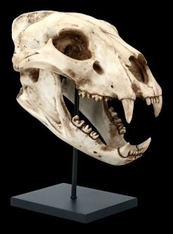 Löwen Totenkopf Auf Metall Ständer -Modell Und Figurengeschäft FS21620 Loewen Totenkopf auf Metall Staender 7 1280x1280